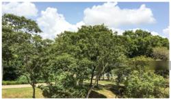 Archipelago (D16), Condominium #113790992